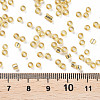 8/0 Glass Seed Beads X2-SEED-A005-3mm-22-3