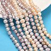 Natural Cultured Freshwater Pearl Beads Strands PEAR-L034-10C-1