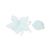 Frosted Transparent Acrylic Beads OACR-U006-03F-2