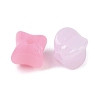 Plastics Beads KY-B005-14-2