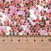 Transparent Glass Round Seed Beads SEED-B001-05A-15-4