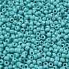 TOHO 6/0 Round Beads SEED-TR06-0055-3