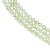 Natural Prehnite Beads Strands G-C255-B03-2mm-4