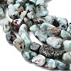 Natural Larimar Beads Strands G-P601-A21-02-4