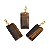 Natural Tiger Eye Faceted Pendants G-L623-03G-03-1