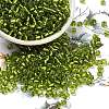 6/0 Round Silver Lined Round Hole Glass Seed Beads X-SEED-A005-4mm-24-1
