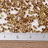 MIYUKI Delica Beads SEED-J020-DB1703-4