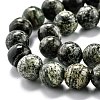 Natural Green Zebra Jasper Beads Strands G-O199-05B-3