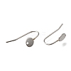 304 Stainless Steel Earring Hooks STAS-B087-09A-P-2