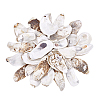 30Pcs 3 Styles Oyster Shell DIY-PH0029-34-7