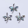 Abalone Shell/Paua Shell Pendants X-SSHEL-L008-07P-1