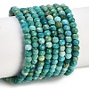 Natural Turquoise Dyed Beads Strands G-H070-A02-01-1