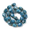 Natural Apatite Beads Strands G-P541-A01-06-2