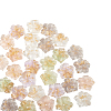 30Pcs 5 Colors Transparent Resin Cabochons RESI-CJ0001-186-5