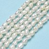 Grade AA Natural Cultured Freshwater Pearl Beads Strands PEAR-J006-02A-2
