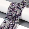 Natural Fluorite Beads Strands G-A252-A01-01-2