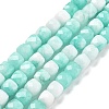 Natural Quartz Imitation Amazonite Beads Strands G-C179-B21-01-1