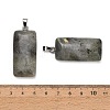 Natural Labradorite Pendants GG-CBAA0EE-01P-12-2