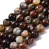 Natural Mexico Crazy Agate Beads Strands X-G-L615-A01-02-4