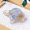 Natural Celestite Display Decorations PW-WG32FD3-03-1