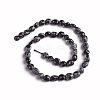 Natural Snowflake Obsidian Beads Strands G-D0002-D60-2