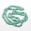 Natural Amazonite Chip Beads Strands X-G-M205-64A-2