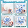 Natural Shell Display Decorations DIY-NB0014-92-3