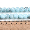 Baking Paint Glass Beads Strands DGLA-N013-10mm-03-4
