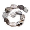 Raw Rough Natural Botswana Agate Beads Strands G-S396-04A-4