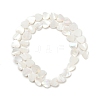 Natural Freshwater Shell Beads Strands SHEL-K010-04-2