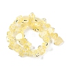 Transparent Glass Enamel Beads Strands GLAA-B021-05C-2