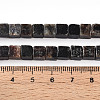 Natural Biotite Beads Strands G-T140-39A-5