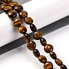 Natural Tiger Eye Beads Strands G-T047-A05-01-2