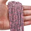 Dyed Synthetic Turquoise Beads Strands G-Z089-A04-K-1