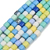 Baking Paint Glass Beads Strands LAMP-S070-06D-1