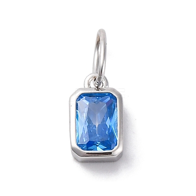 925 Sterling Silver Cubic Zirconia Charms STER-NH0014-01P-09-1