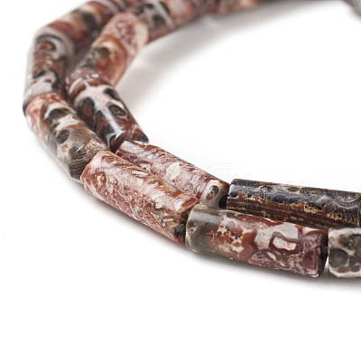 Natural Leopard Skin Jasper Beads Strands X-G-F247-27-1