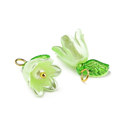 Acrylic Pendants OACR-D012-01E-1
