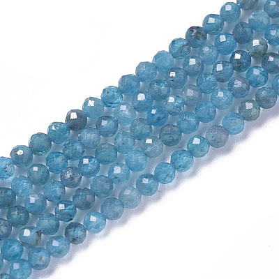 Natural Apatite Beads Strands X-G-F596-29-2mm-1