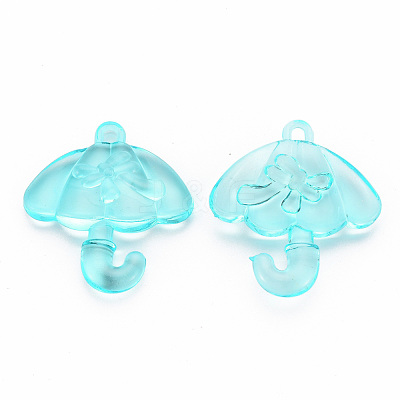 Transparent Acrylic Pendants TACR-T024-01B-946-1