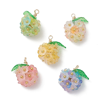 Transparent Acrylic Pendants PALLOY-JF04847-1