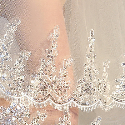 Double Layer Flower Pattern Mesh Bridal Veil with Combs PW-WG22953-01-1