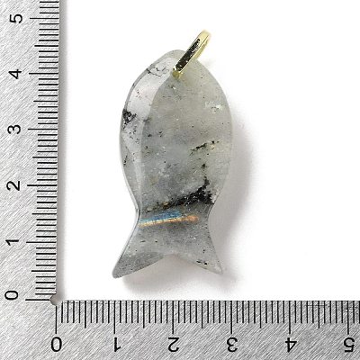 Natural Labradorite Pendants G-Z102-02G-05-1