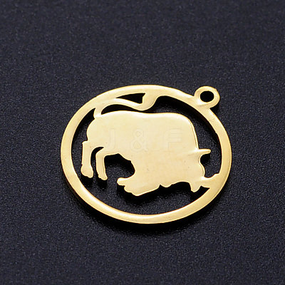 201 Stainless Steel Pendants STAS-S105-JN363-2-1