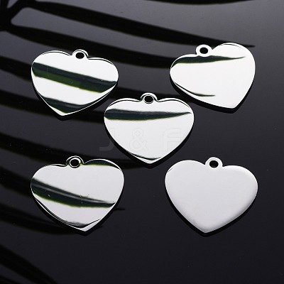 Tarnish Resistant 304 Stainless Steel Pendants STAS-I140-10B-S-1