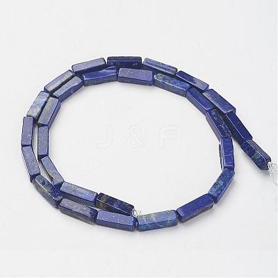 Natural Lapis Lazuli Beads Strands G-G968-D03-1