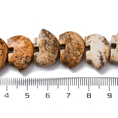 Natural Picture Jasper Beads Strands G-F783-G03-01-1