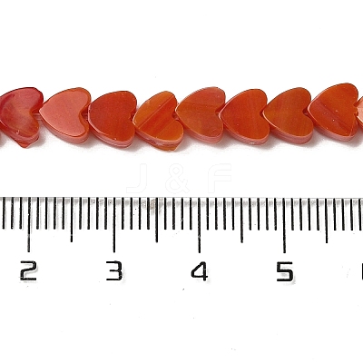 Handmade Lampwork Beads Strands LAMP-Q035-01J-1
