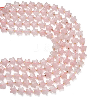 Natural Rose Quartz Beads Strands G-L657-A06-01-1