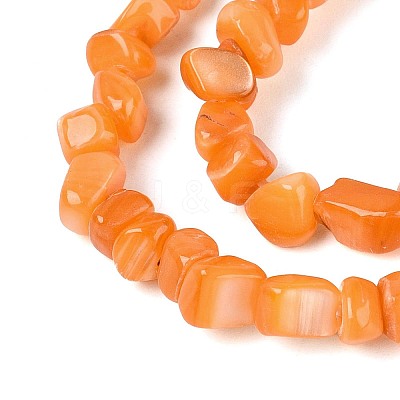 Natural Freshwater Shell Beads Strands SHEL-N037-04F-1